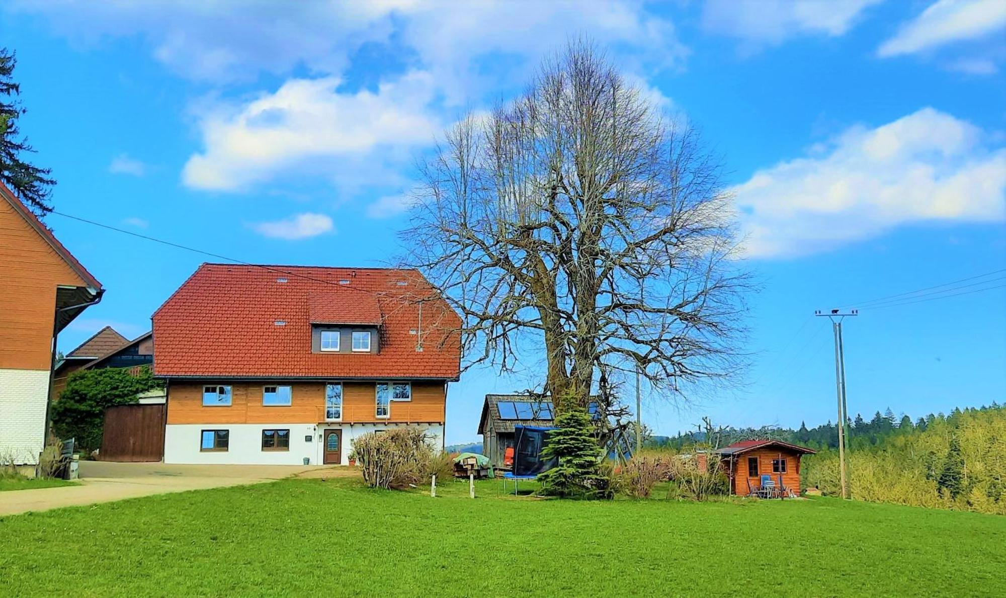 Apartament Suessen Haeusle Breitnau Zewnętrze zdjęcie